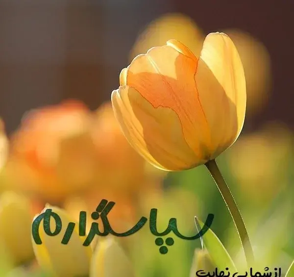 عکس تشکر تسلیت