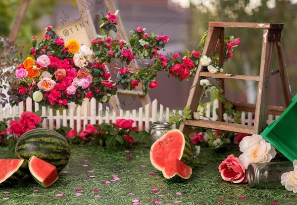 عکس شب یلدا طبیعی