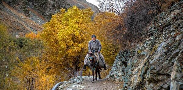 عکس روستای آهار
