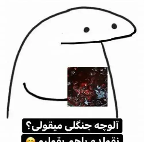عکس مود میقولی