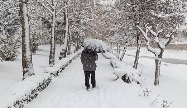 عکس ظهر زمستانی