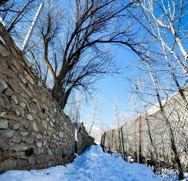 عکس ظهر زمستانی