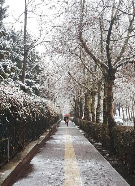 عکس ظهر زمستانی