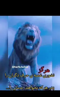 عکس شیر با نوشته لاتی