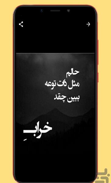 عکس شیر با نوشته لاتی
