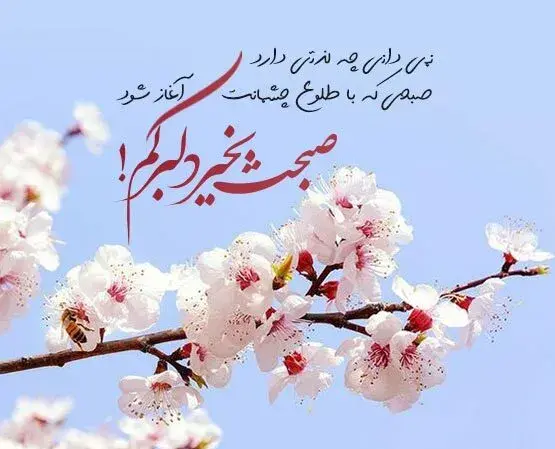عکس صبح بخیر برای همسر