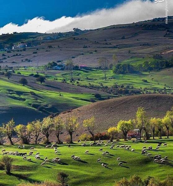 عکس بهار لاهیجان