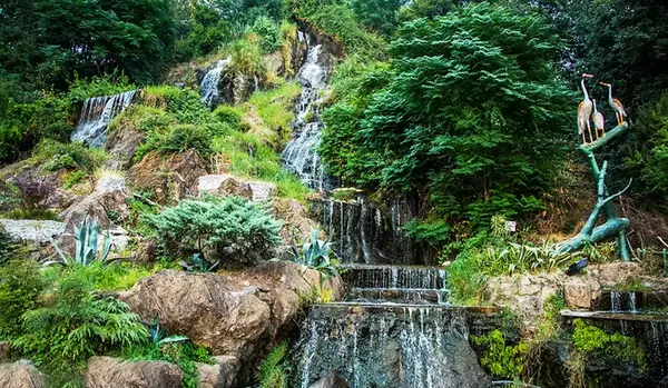 عکس بهار لاهیجان