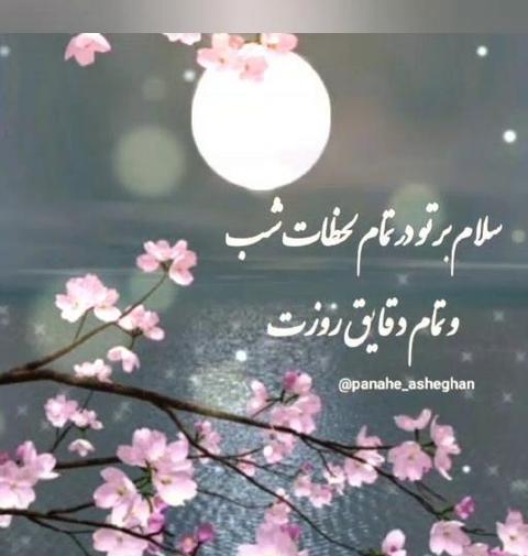 عکس نوشته سلام بر مهدی فاطمه
