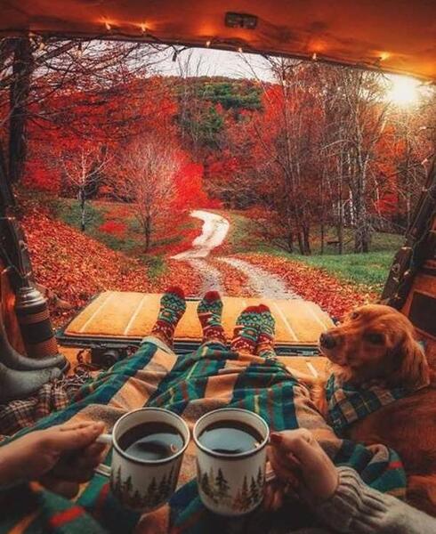 عکس پاییزی عاشقانه دونفره بدون متن