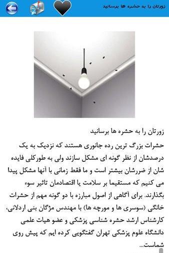 عکس پشه شیپ