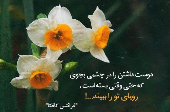 عکس نوشته فلسفی پرمعنا