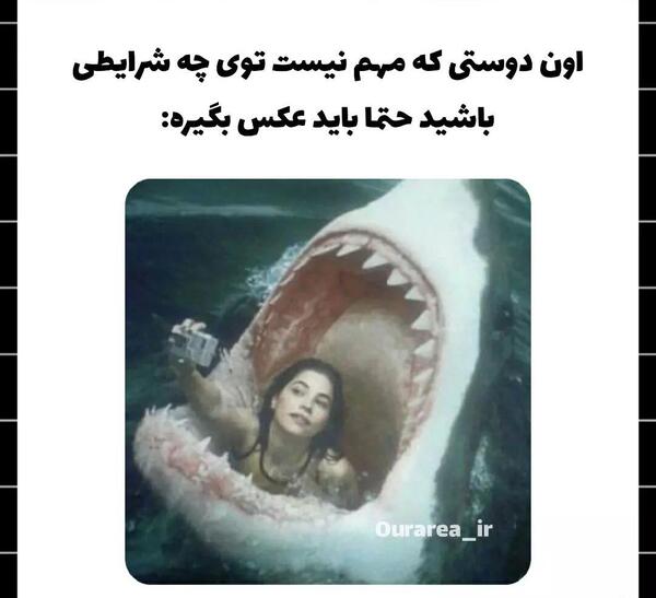 عکس های مود فان