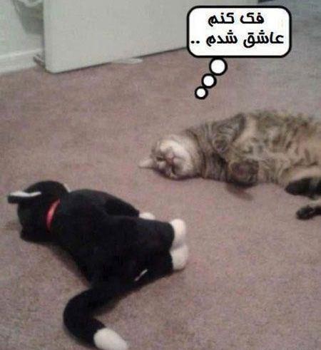 عکس های مود فان