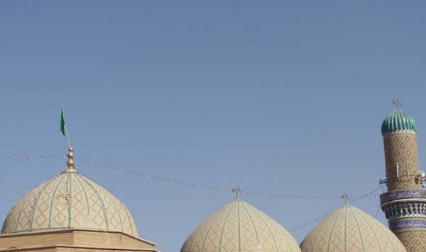 عکس همسر جابر انصاری