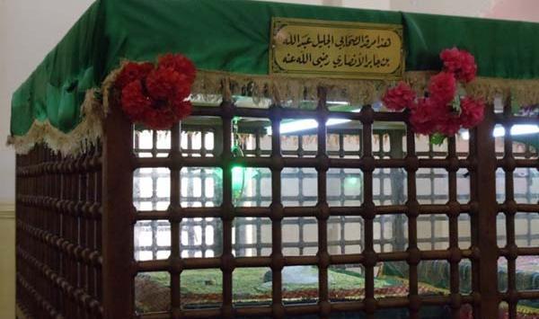 عکس همسر جابر انصاری