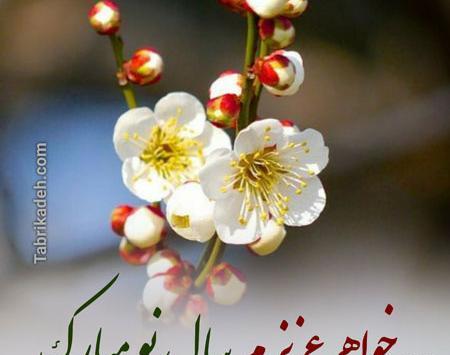 عکس نوشته تبریک سال نو به خواهر