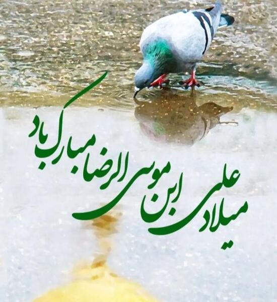 عکس نوشته رضا و رها