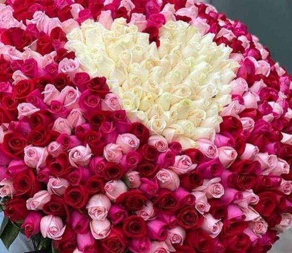 عکس ذهن فقیر