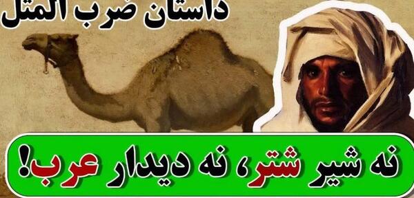عکس ضرب شیر