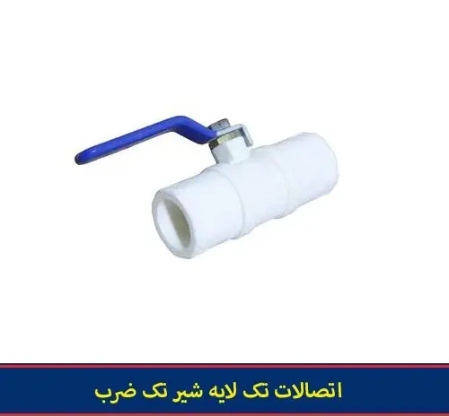 عکس ضرب شیر