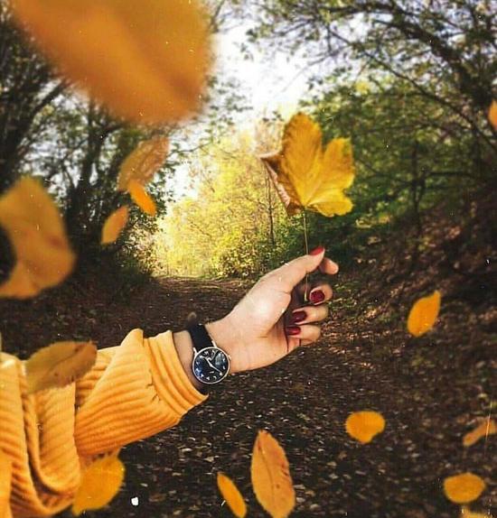 عکس پاییزی قشنگ برای پروفایل