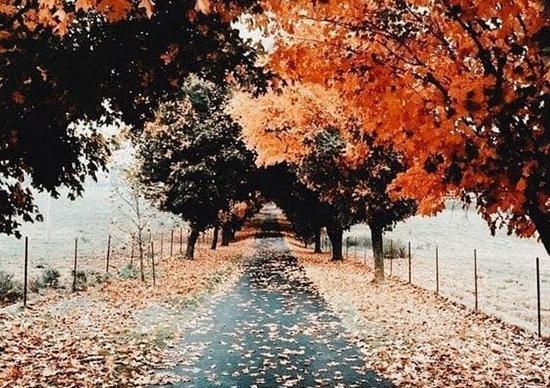 عکس پاییزی قشنگ برای پروفایل