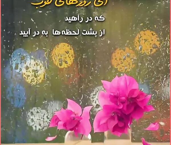 عکس روز خوب
