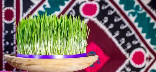عکس از سبزه ی عید