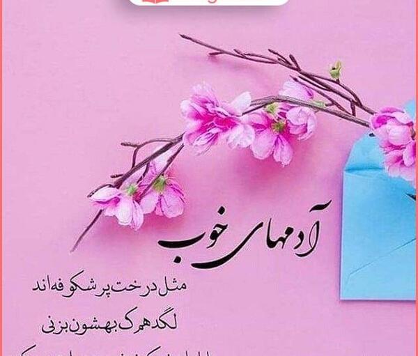عکس دوست مهربان