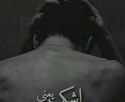 عکس دپ گریه