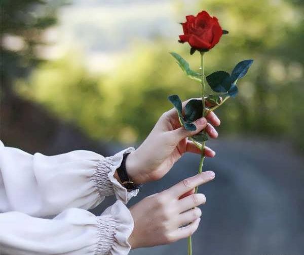 عاشقانه عکس پروفایل گل