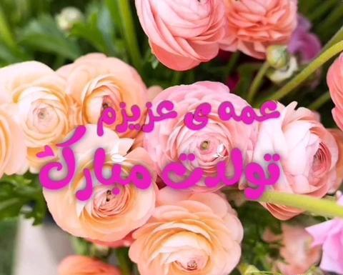 عکس نوشته تولدت مبارک عمه جون