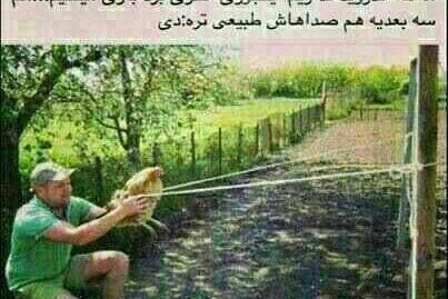 عکس خنده دار طبیعی