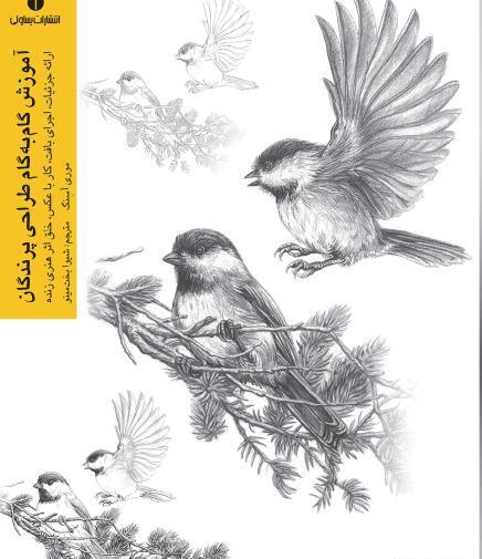 عکس ایده نقاشی پرنده