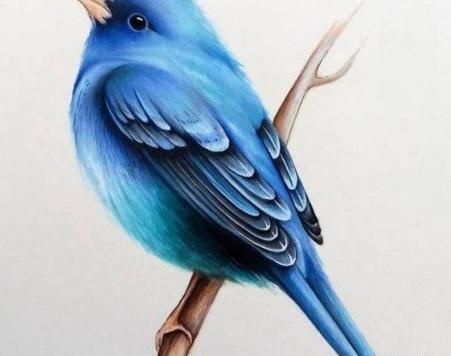 عکس ایده نقاشی پرنده