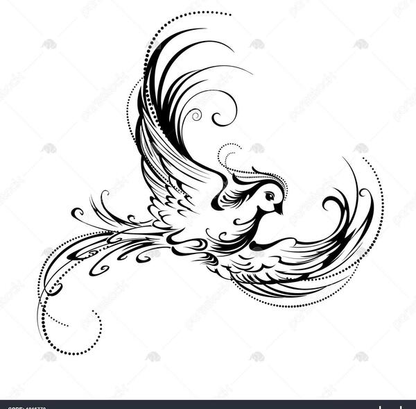عکس ایده نقاشی پرنده