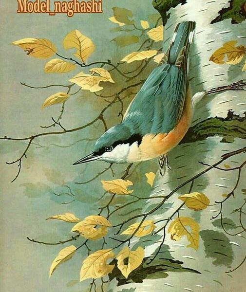 عکس ایده نقاشی پرنده