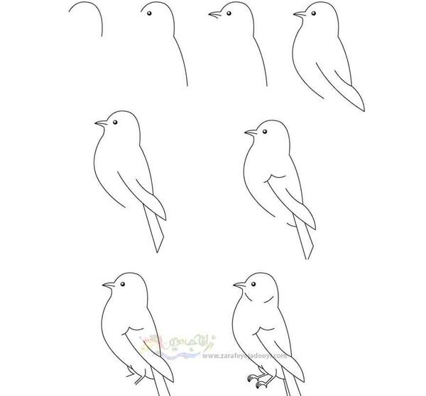 عکس ایده نقاشی پرنده