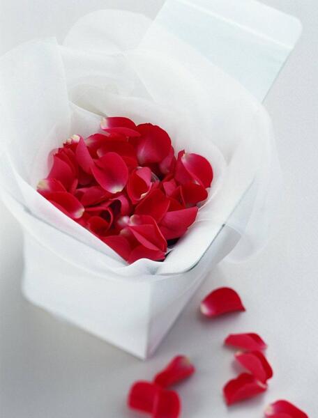 عکس نوشته نیما جان تولدت مبارک