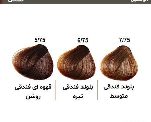 عکس رنگ فندقی روشن