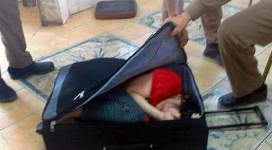 عکس چمدان دختر کفشدوزکی