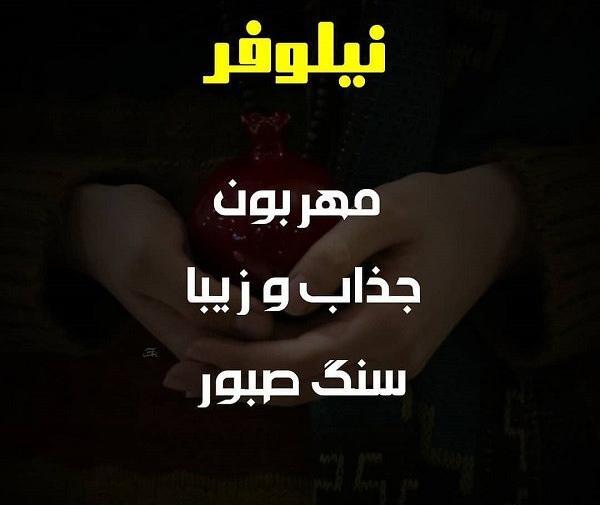 عکس نوشته نیلوفر برای پروفایل