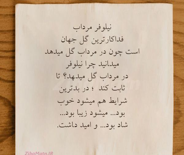 عکس نوشته نیلوفر برای پروفایل