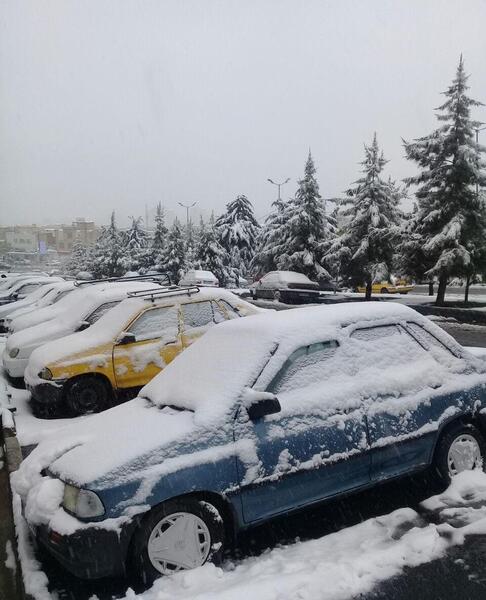 عکس بارش یخ
