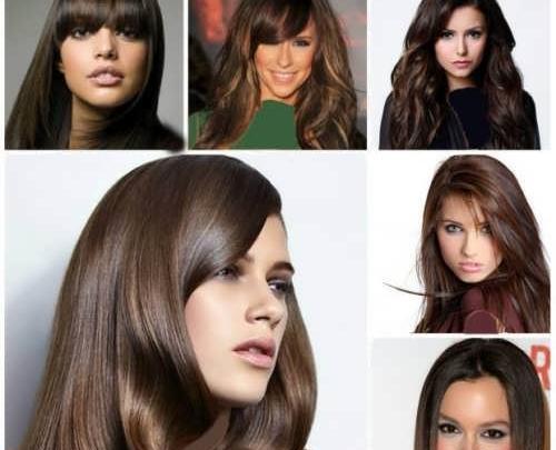 عکس رنگ قهوه ای تیره