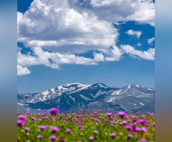 عکس برای پروفایل واتساپ طبیعت زیبا