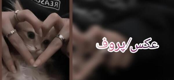 عکس های کیوت