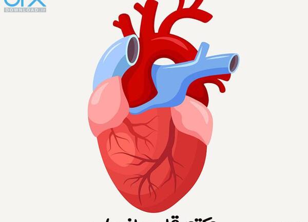 زیباترین عکس های قلب انسان