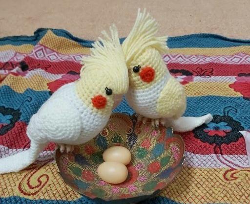 عکس عروسک عروس هلندی